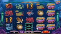 Dolphin-Quest1-300x169