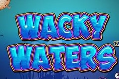 wacky waters logo